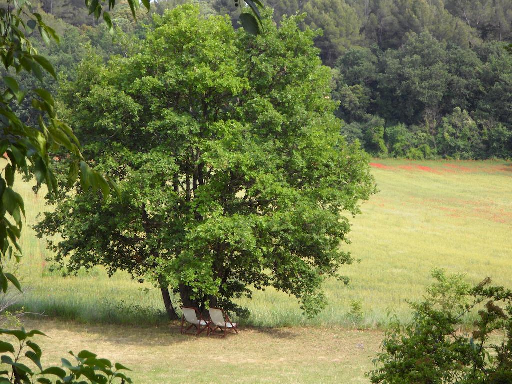 Bed and Breakfast Mas de Foncaudette Lourmarin Exterior foto